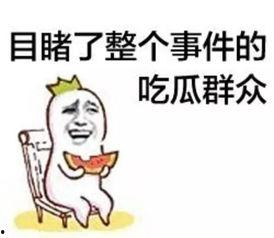 资深娱乐吃瓜群众